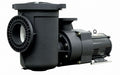 Pentair EQ Series 5 HP Single-Phase Commercial Pool Pump with Strainer - 340030 product image