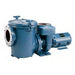 Pentair CCSP Series 10 HP Three-Phase Commercial Self-Priming Pool Pump - CCSPHL3-143 product image