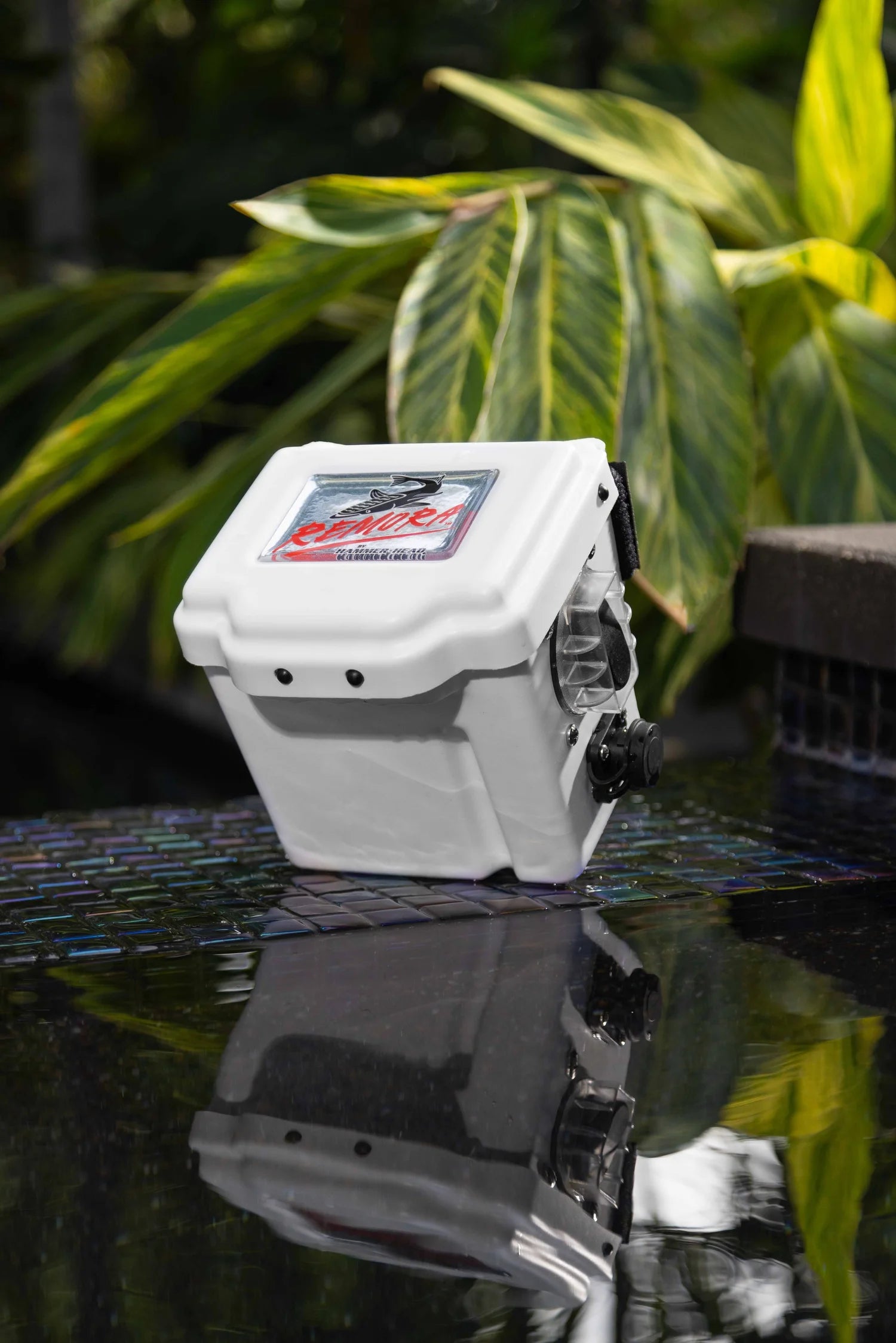 HAMMER-HEAD REMORA | Model XR1600