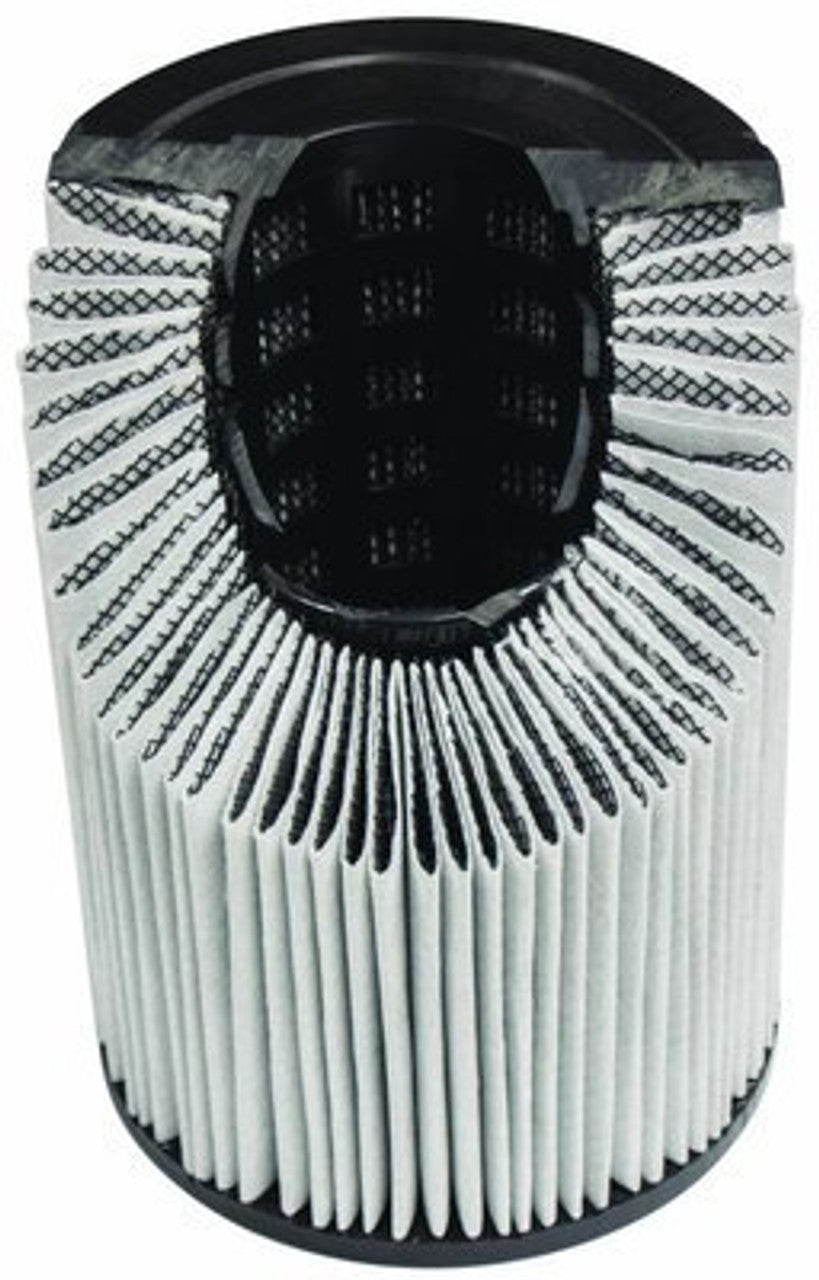 Blue Torrent Black Diamond Cartridge Filter 525 Sq. Ft.